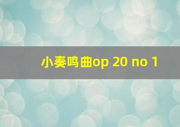 小奏鸣曲op 20 no 1